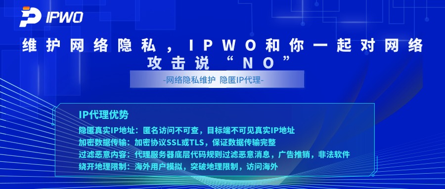 维护网络隐私,代理ip官网,全球ip代理,海外代理ip排行榜,好的国外ip代理,海外住宅ip哪里买,怎样获取美国住宅ip