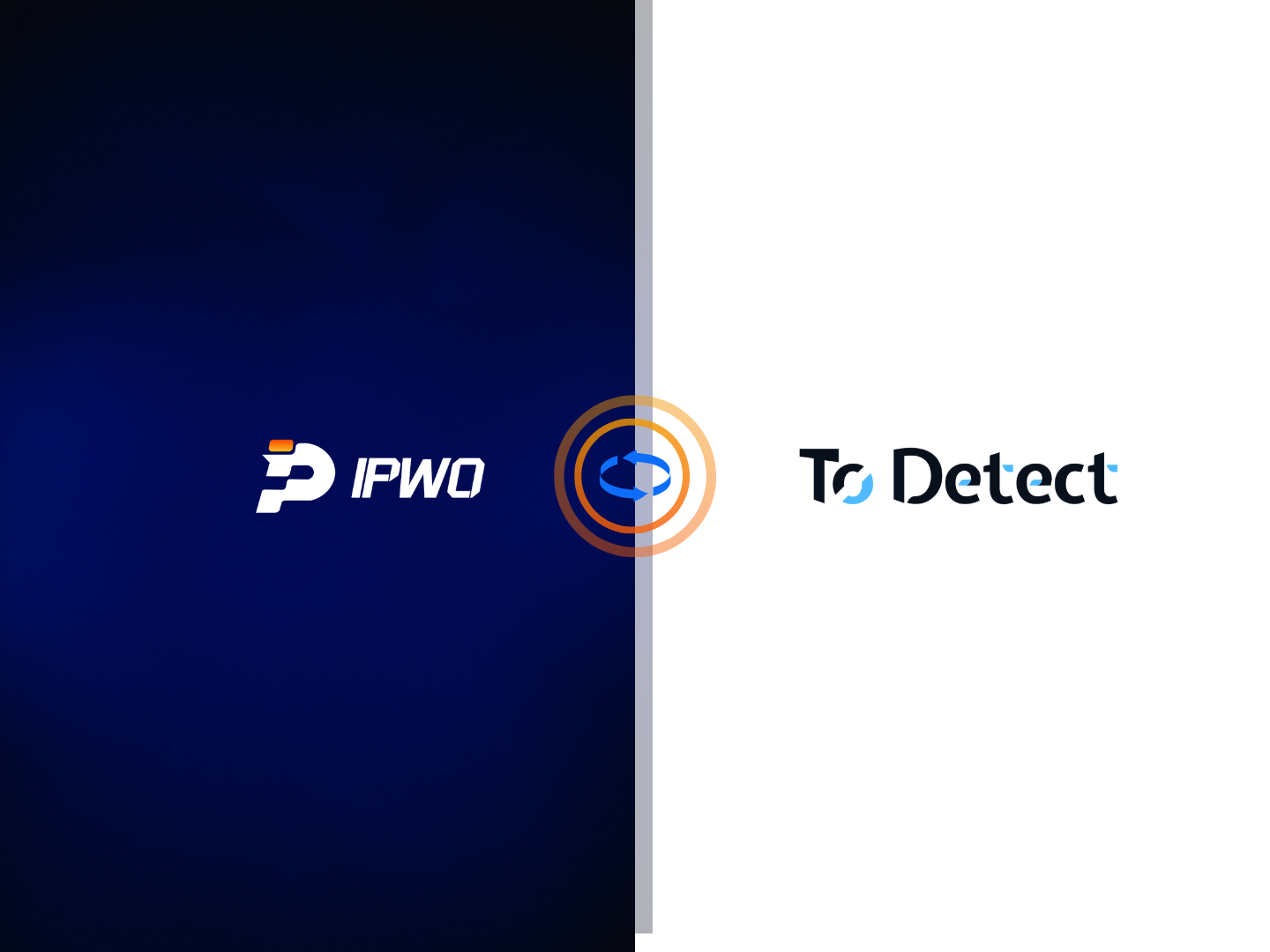 如何利用ToDetect工具检测IPWO海外代理IP？